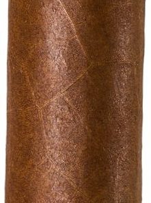 Pichardo Clasico Sumatra Toro