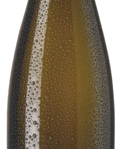 Alternative view of 2023 Thörle Grauburgunder