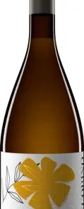 Cantina Tollo – Pecorino Terre d Abruzzo IGP 2024