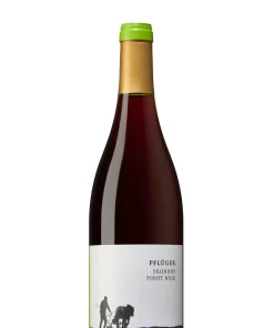 Pflüger, Dürkheimer Fronhof Pinot Noir Erste Lage 2022 Bio