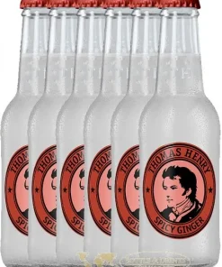 Alternative view of Thomas Henry Spicy Ginger 6 x 0,2 Liter