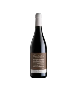 Alternative view of Cantodoro Sicilia DOC 2020 – Feudo Arancio