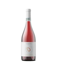 Alternative view of Tribum Cerasuolo D’Abruzzo DOP Organic BIO 2023 – Feudo Antico