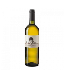 Alternative view of DONNA LICIA Bianco IGT Colline Teatine 2021 – Fattoria Licia