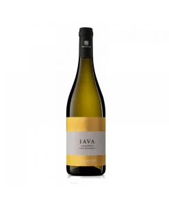 Alternative view of IAVA – Chardonnay IGP 2022 Biologico – Vigna Madre