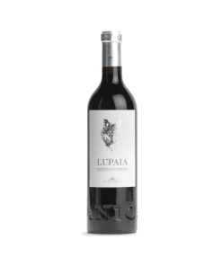 Lupaia Montepulciano d’Abruzzo DOC 2016 – Castorani