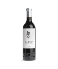 Alternative view of Lupaia Terre di Chieti IGT Cabernet Sauvignon 2019 – Podere Castorani