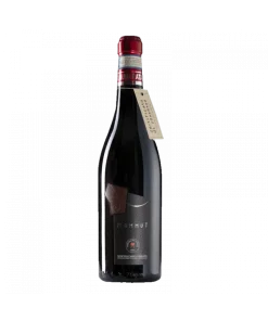 Alternative view of MAMMUT Montepulciano d’Abruzzo DOC 2019 – Cascina del Colle