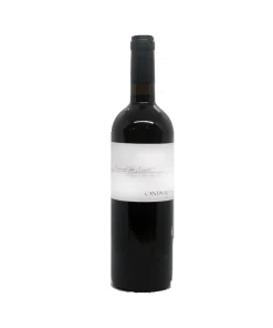 Montepulciano d’Abruzzo DOC 2010 – Francesco Paolo Michetti – Cantina Rapino