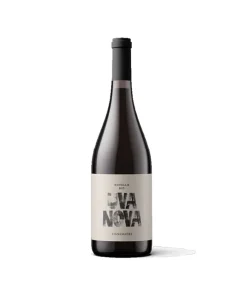 Alternative view of Novello Uva Nova Terre di Chieti IGP 2023 – Vigna Madre