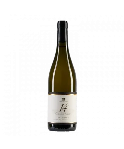 Pecorino IGT terre di Chieti Casino Murri 14° 2021 – Cantina San Giacomo