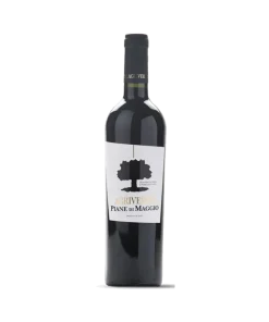 PIANE DI MAGGIO Montepulciano d’Abruzzo DOC 2021 Magnum – Agriverde