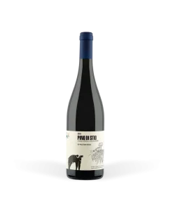 Alternative view of Pino di Stio Paestum Rosso IGP magnum 2018 – San Salvatore 1988