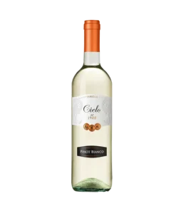 Alternative view of Pinot Grigio 2019 – Cielo e Terra Vini
