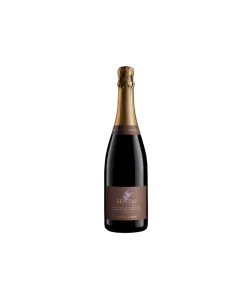 Alternative view of Séntate Recioto Della Valpolicella Docg Spumante Dolce 2022 – Domini Veneti