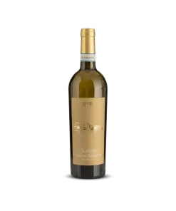 Summa Bianco di Custoza Superiore Doc 2021 – Azienda Agricola Gorgo