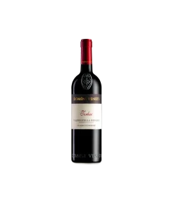 Alternative view of Torbae Valpolicella Ripasso Doc Classico Superiore 2022 magnum cassetta di legno – Domini Veneti