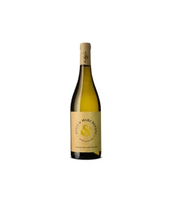 Trebbiano d’Abruzzo Classico Doc Biologico 2022 – Jasci & Marchesani