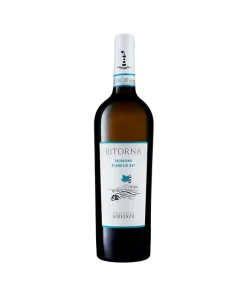 Alternative view of Trebbiano D’Abruzzo DOC Ritorna 2019 – Giovenzo